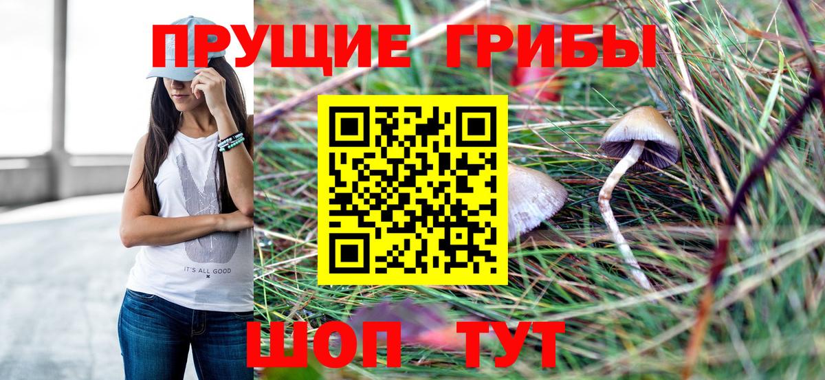 Галлюциногенные грибы Cubensis Светлоград