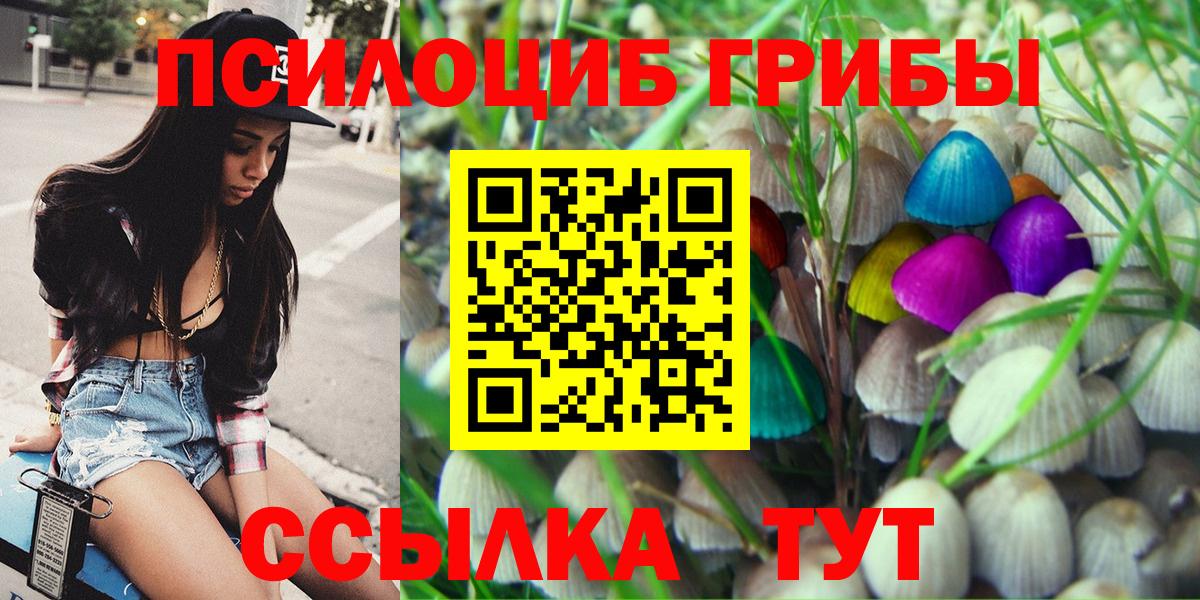 Псилоцибиновые грибы мицелий  Вход с VPN  Светлоград 